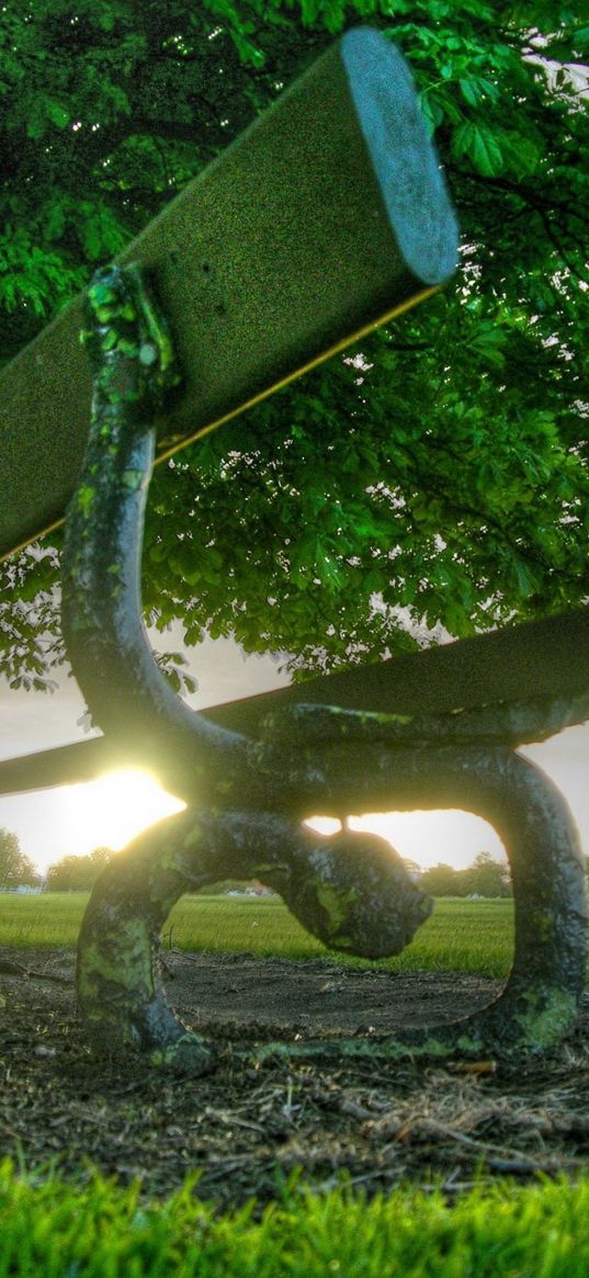 bench, park, tree, clouds, sun, evening