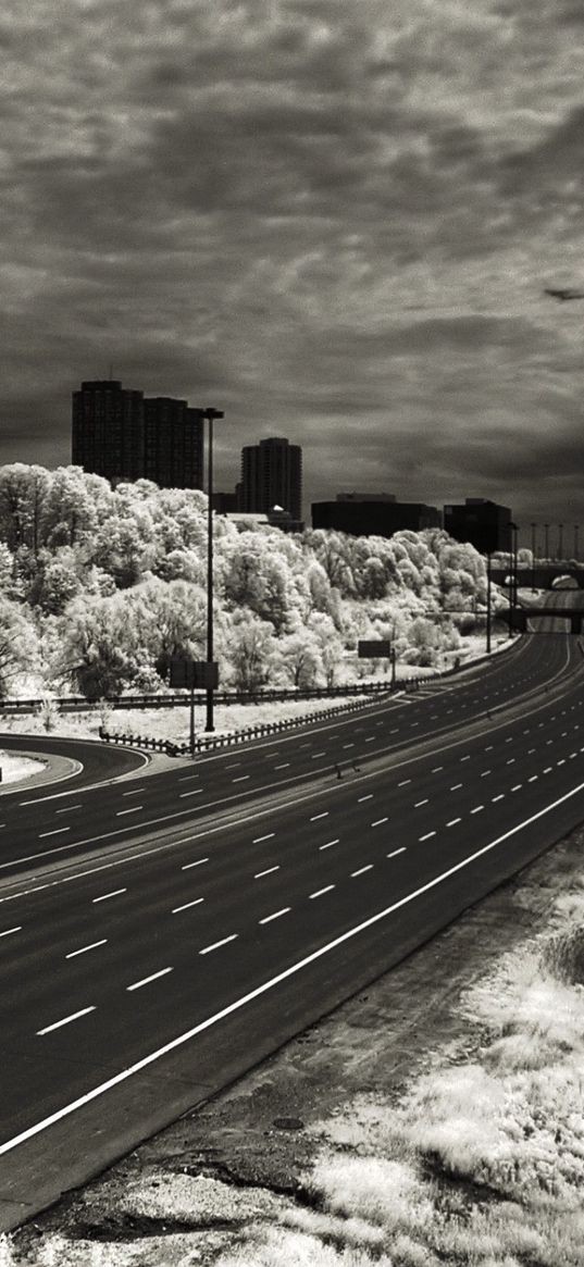 road, marking, lines, city, black-and-white