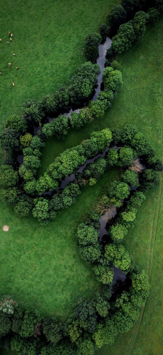 river, nature, czech, top view