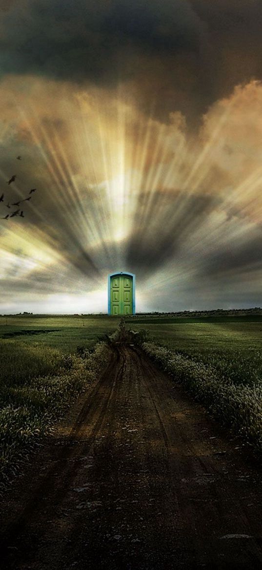 road, portal, doors in paradise, field, sky, birds