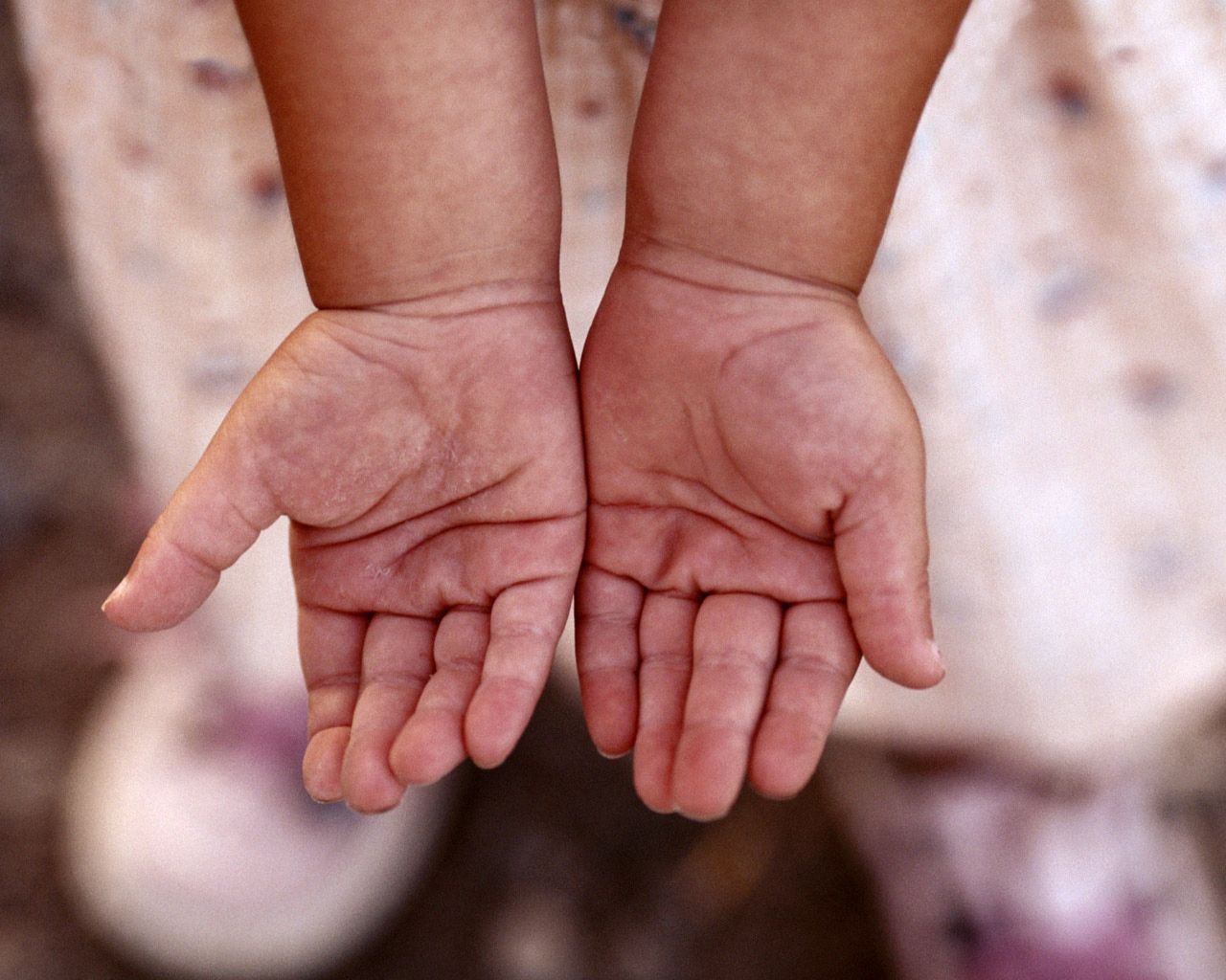 hand, child, palms, small