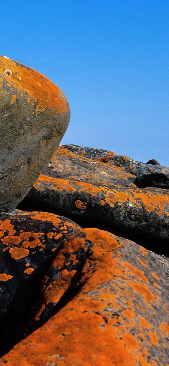 stones, stains, coast, beacon, sea