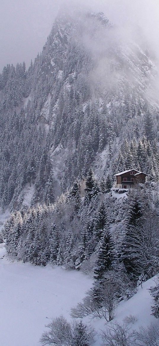 wood, mountains, fog, haze, fur-trees, snow, small house