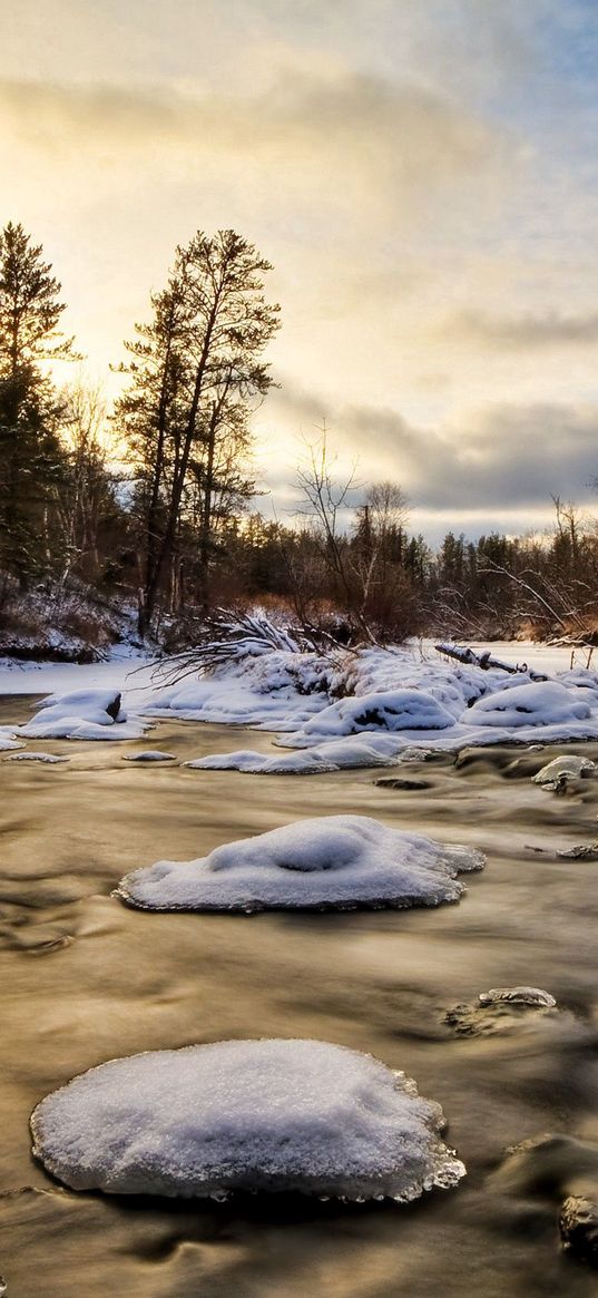 ice, water, river, snow, fur-trees