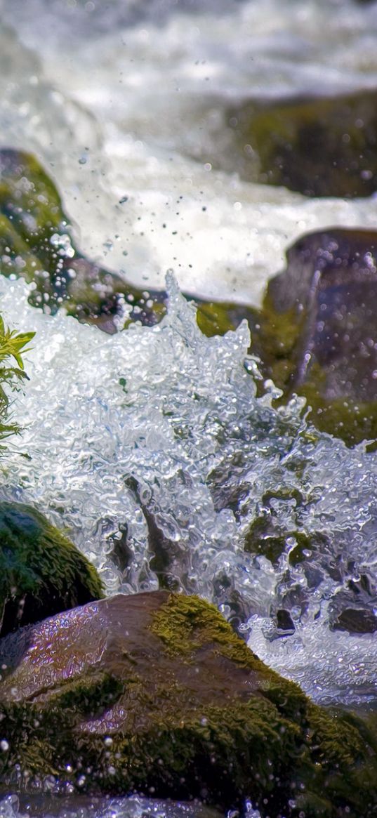 water, splashes, river, moss, stones, drops