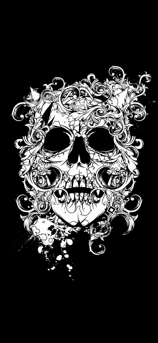 skull, patterns, horns, curves, black, white