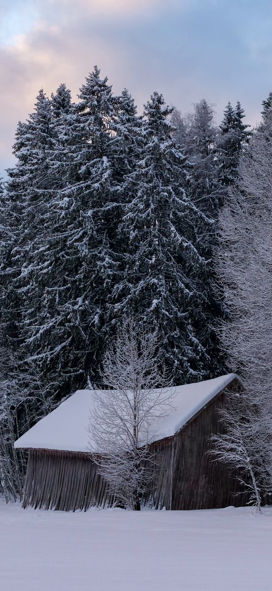 hut, winter, snow, forest, nature