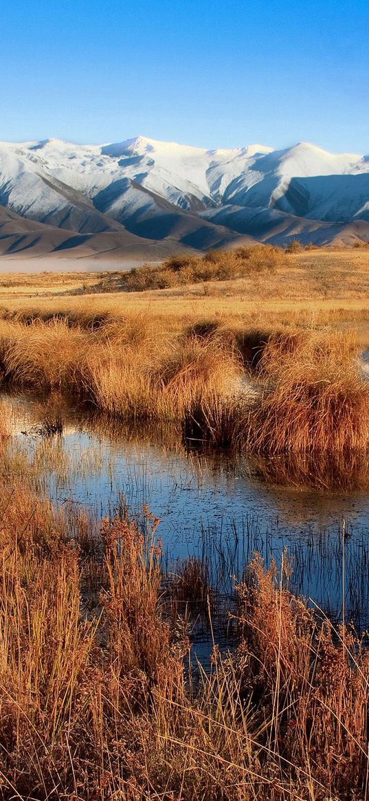 lake, mountains, tops, vegetation, autumn