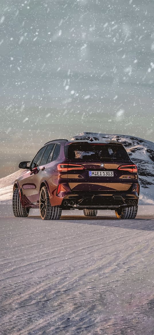 bmw x5, bmw, suv, car, red, road, mountain, snow, winter