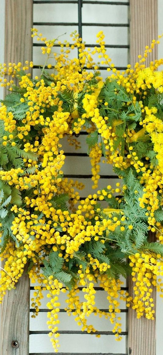 mimosa, wreath, yellow, wall