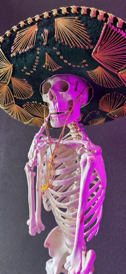 skeleton, hat, sombrero, pose