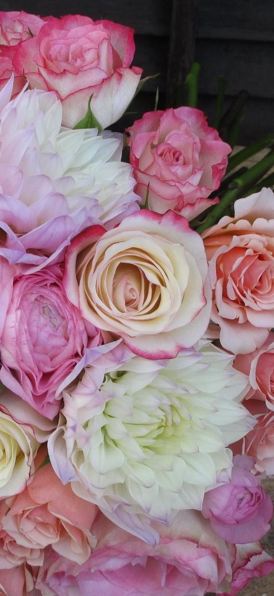 roses, chrysanthemums, ranunkulyus, bouquet, tenderness