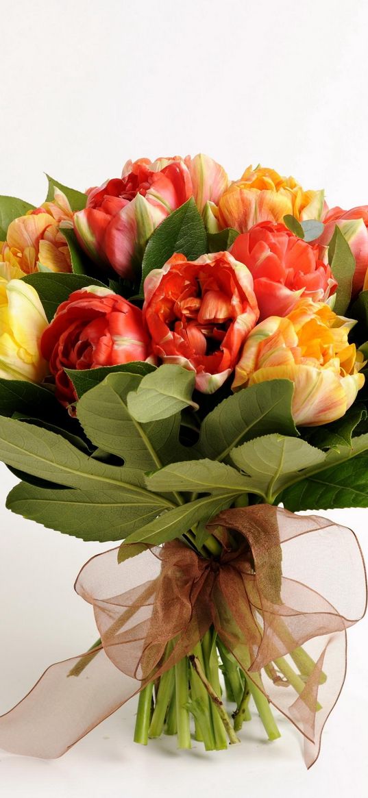 tulips, flower, leaf, bow-knot, decoration