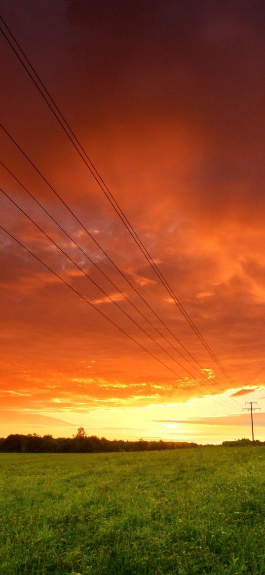 decline, evening, sky, field, wires, greens