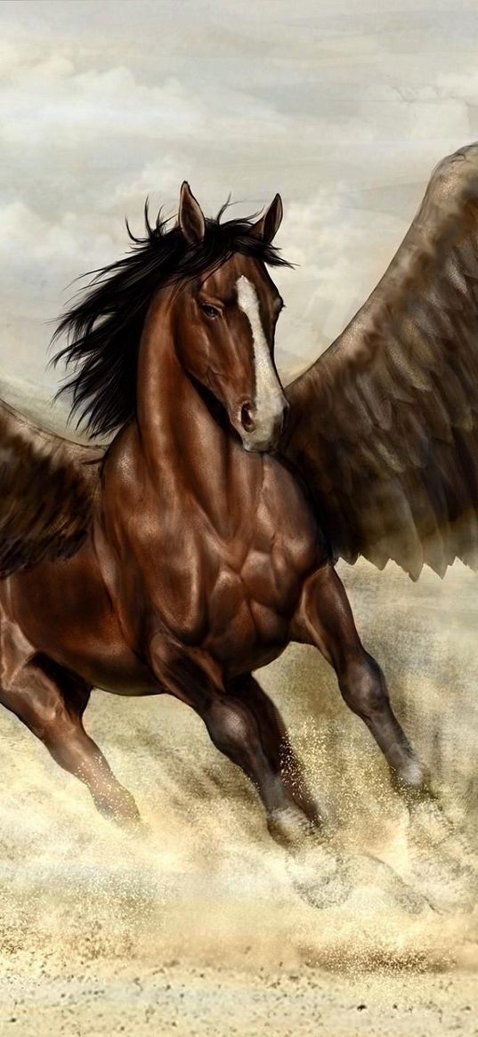 pegasus, horse, wings, sand