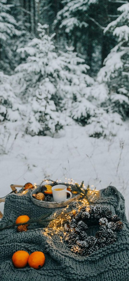 cup, tangerines, wreath, garland, cones, sweater, christmas decoration, forest, snow, winter, nature