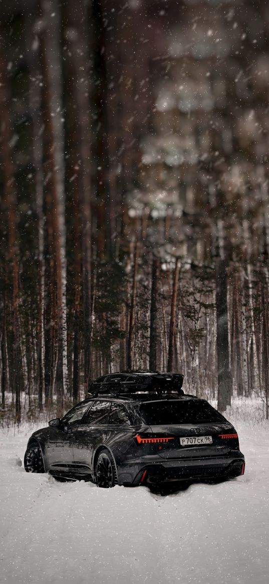 audi rs6, audi, sports car, car, black, trees, forest, snow, winter, nature