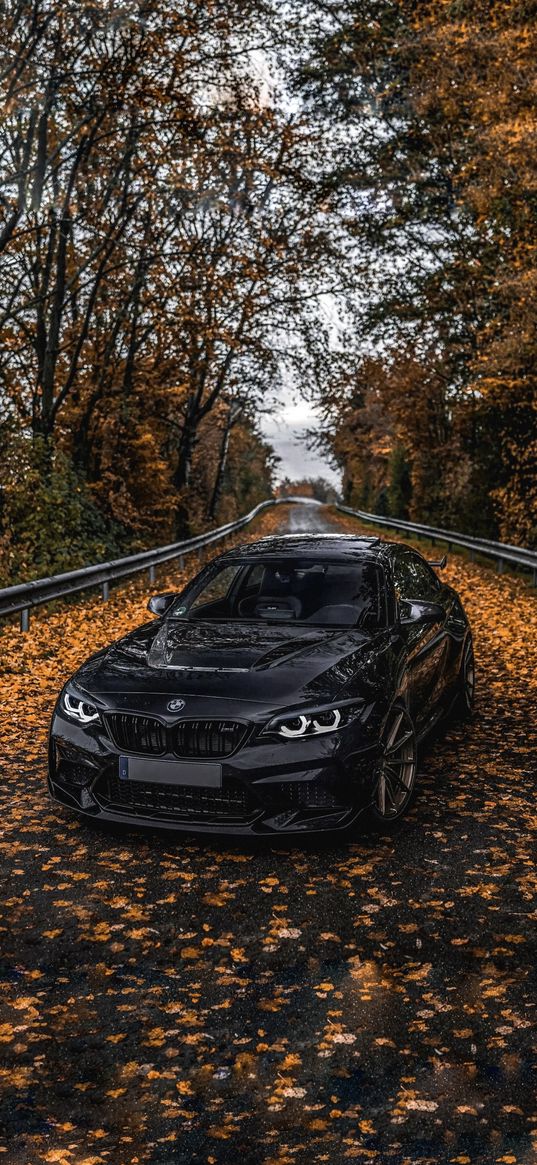 bmw m2, bmw, sports car, car, black, road, leaves, trees, autumn