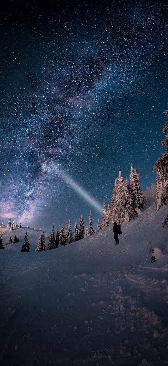 human, mountain, snow, trees, winter, starry sky, alaska