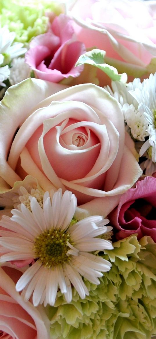 roses, lisianthus russell, chrysanthemum flower, close-up