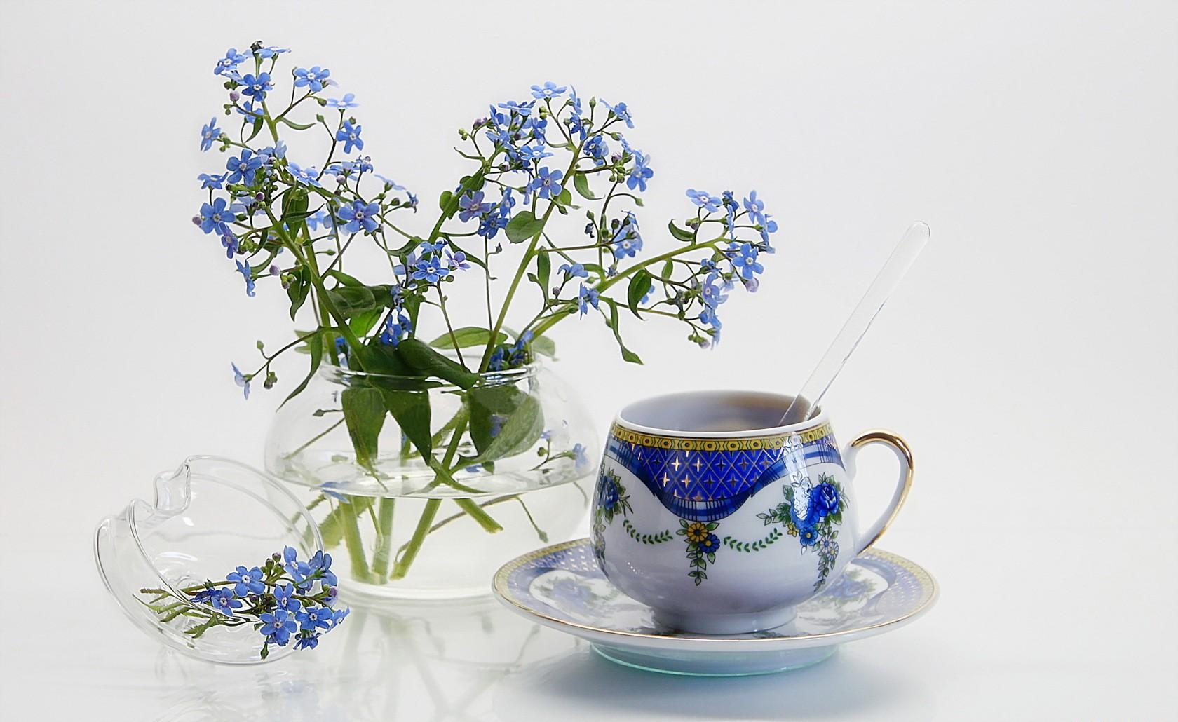 me-nots, flowers, small, jug, tea pair