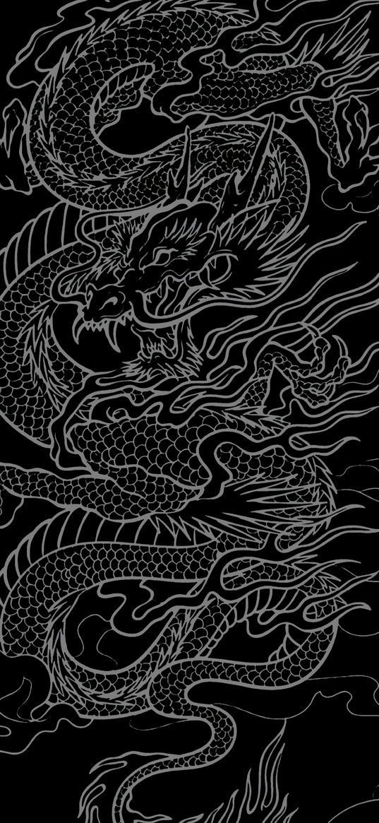 dragon, outline, art, dark, japan, minimalism