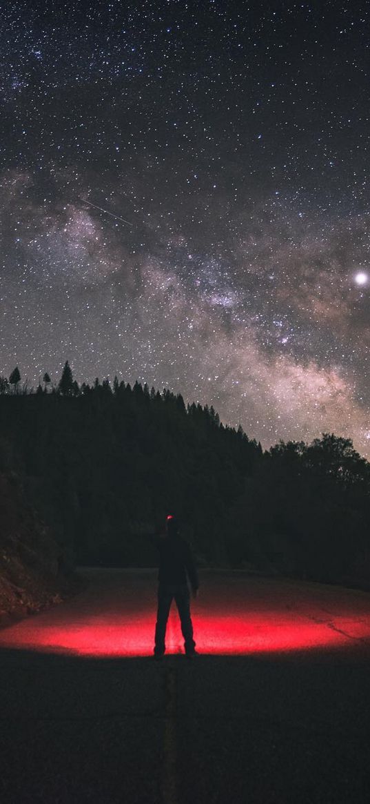 man, lantern, red light, road, forest, milky way, starry sky, night, nature