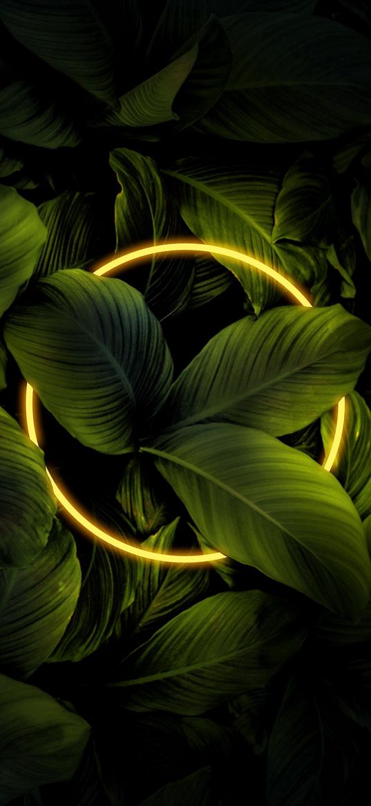 leaves, neon, circle, plant, yellow, dark