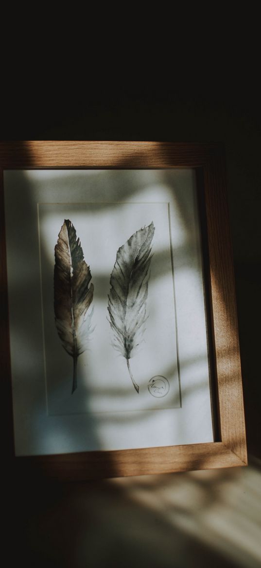 feathers, picture, frame, sun rays, dark