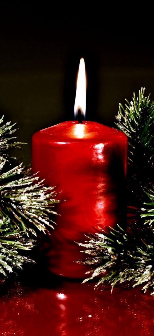 twigs, pine needles, christmas candle, surface