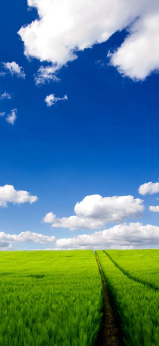 road, greens, grass, sky, clouds, traces