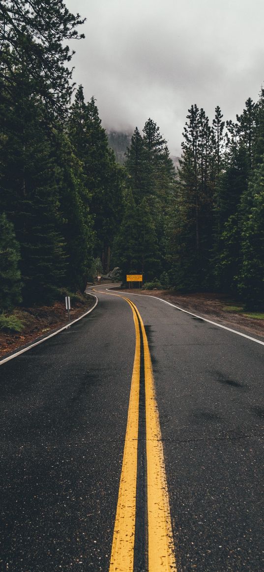 road, forest, trees, nature, cloudy