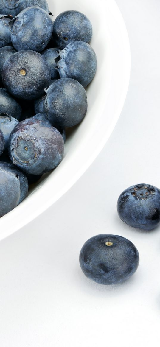 blueberries, berries, plate, white