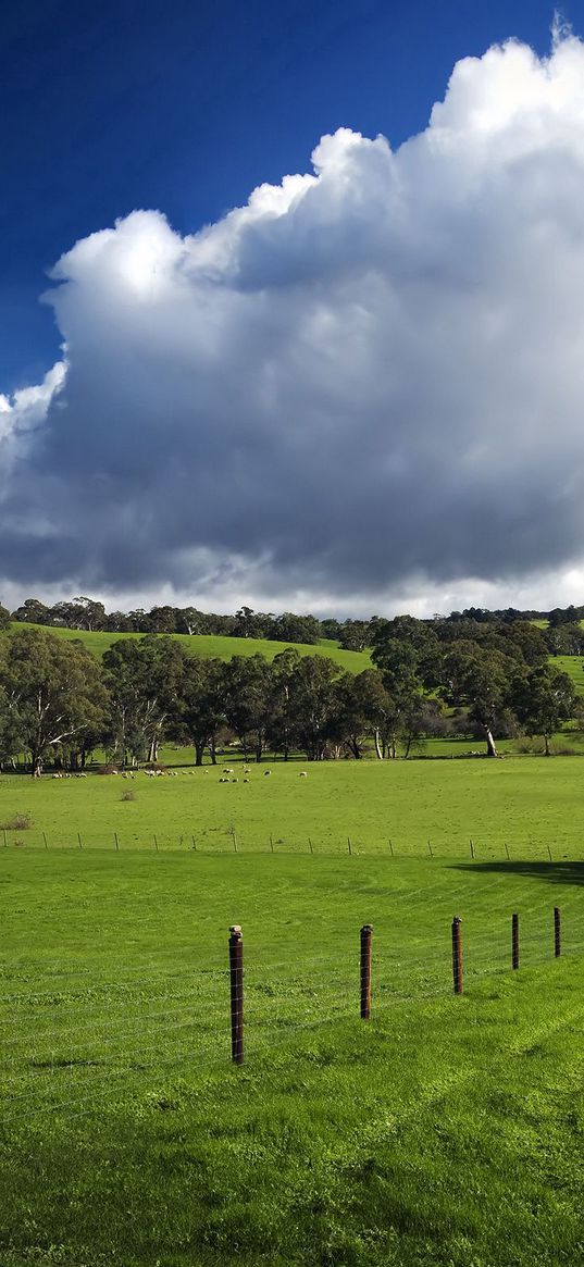 field, fence, pasture, traces, greens, grass, clouds