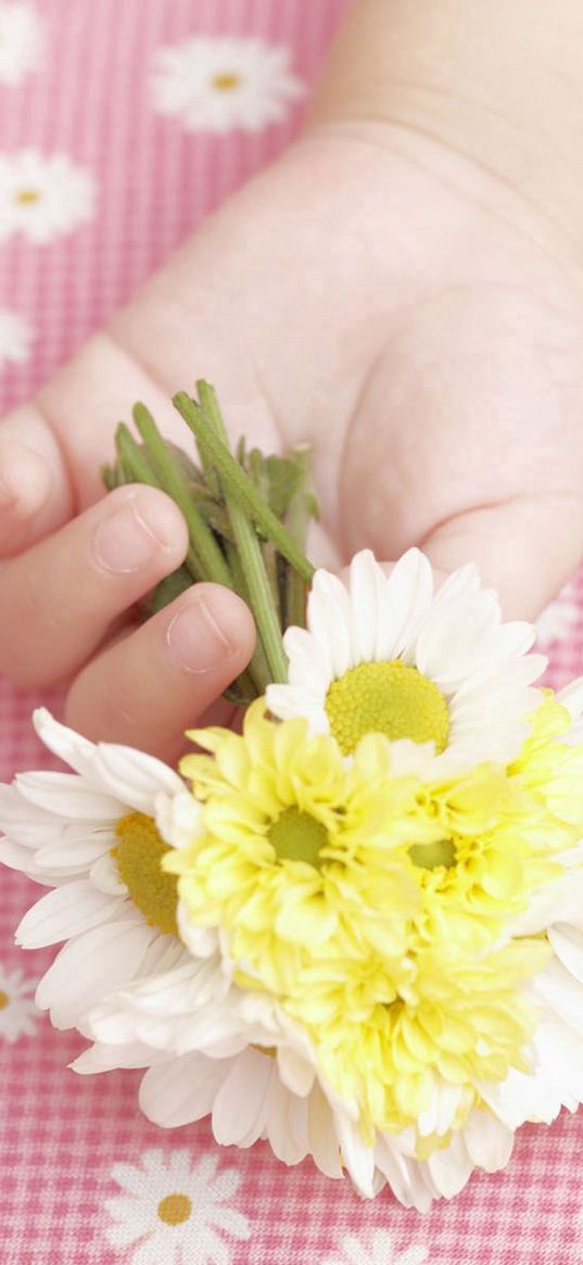 child, hand, flowers, baby