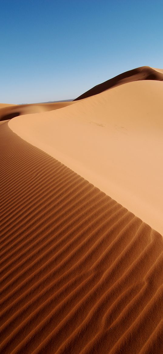 desert, sands, relief, dunes