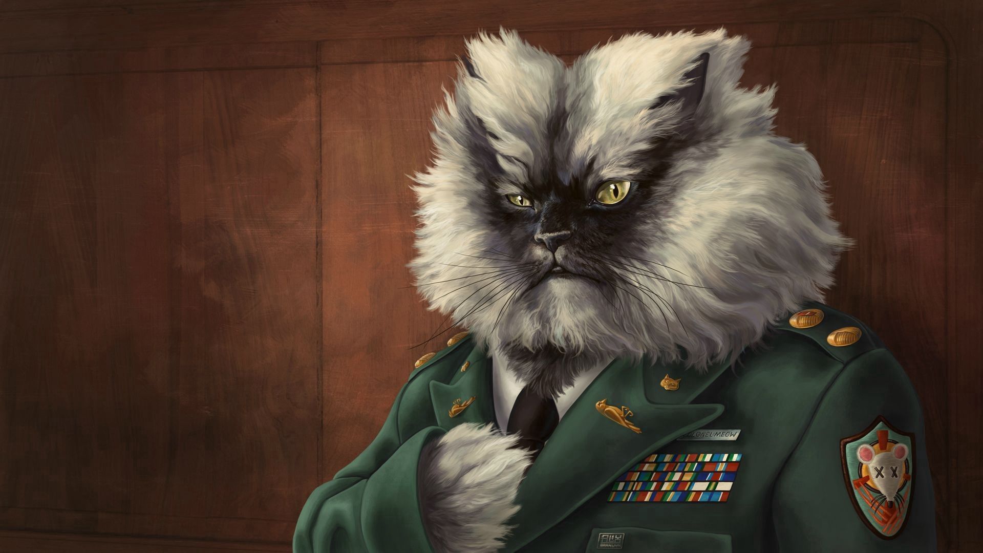 cat, fluffy, jacket, military