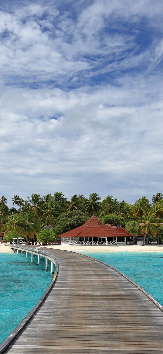 pier, sea, beach, palm trees, island