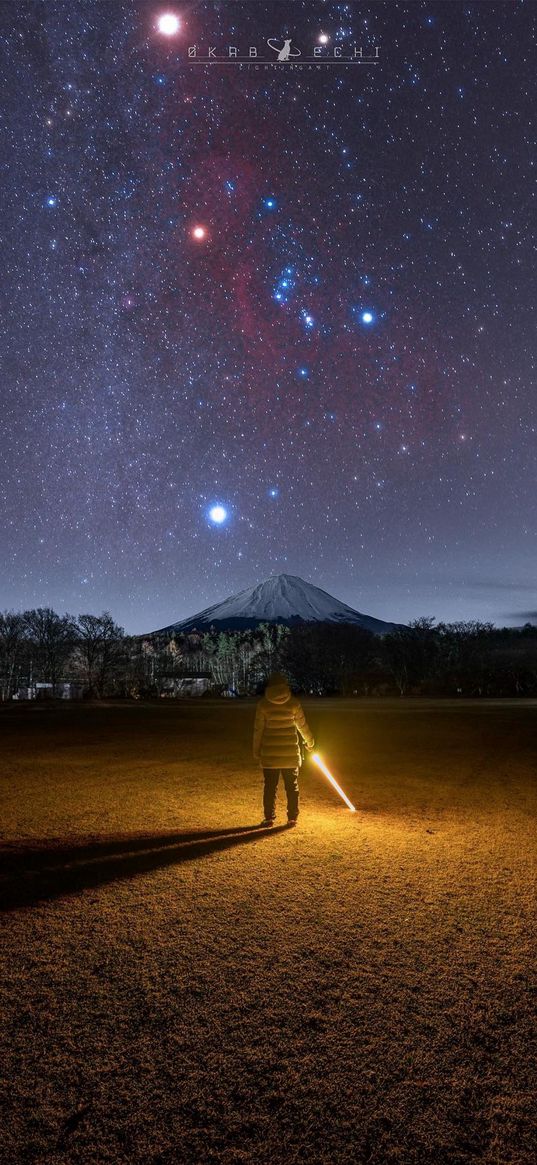 human, desert, sand, trees, peak, snow, starry sky