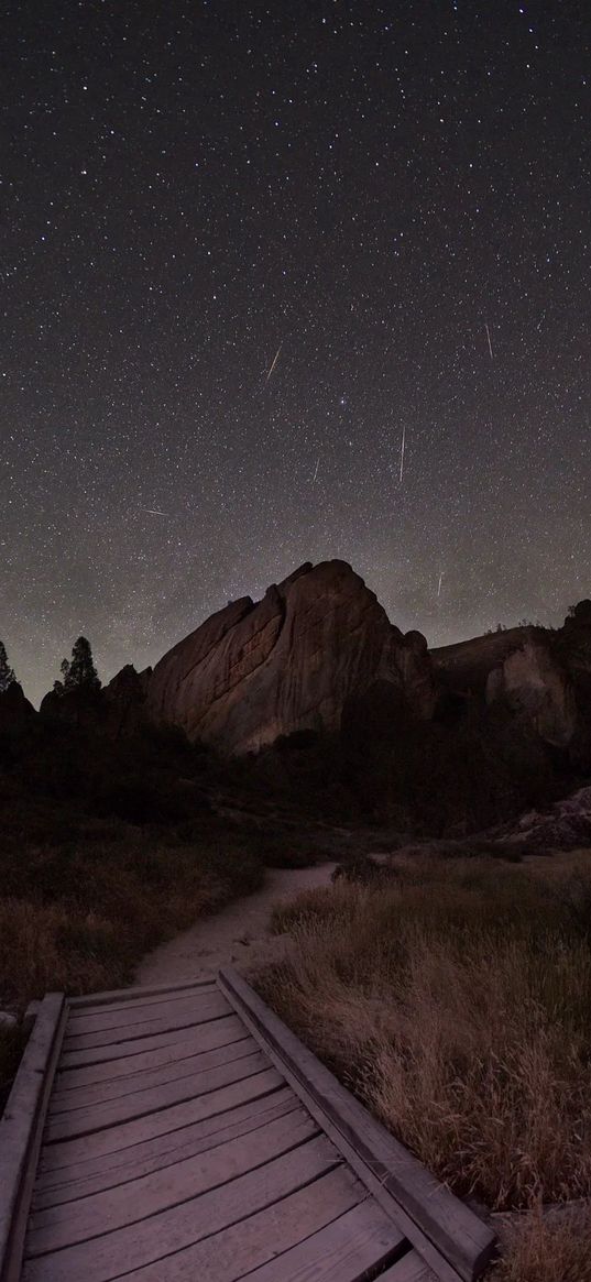 path, bushland, trees, mountain, starry sky, comets, night