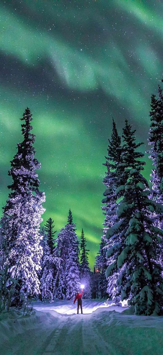 alone, road, snow trees, northern lights, winter, nature