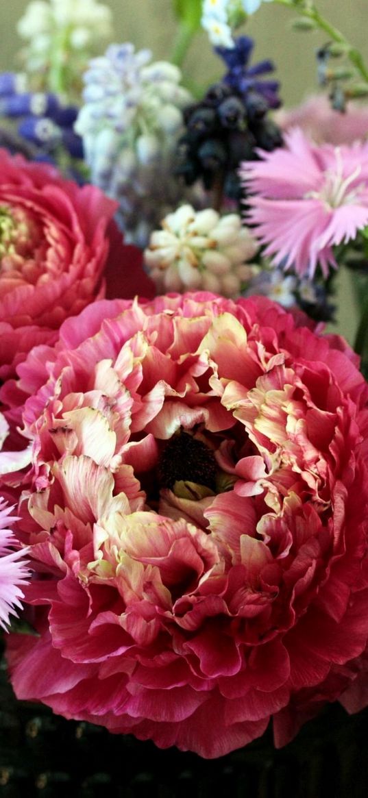 pinks, ranunkulyus, forget-me, muscari, bouquet