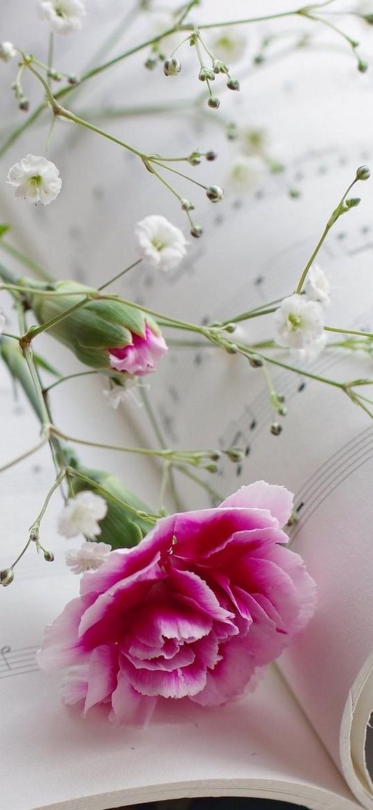 carnations, gypsophila, sheet music, music