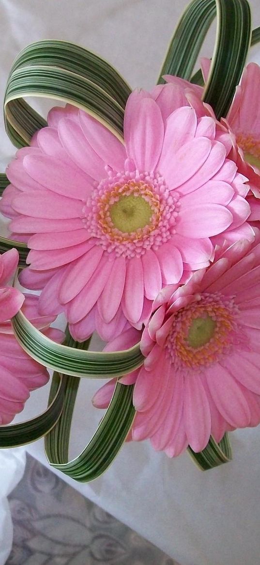 gerbera, flowers, decor, composition