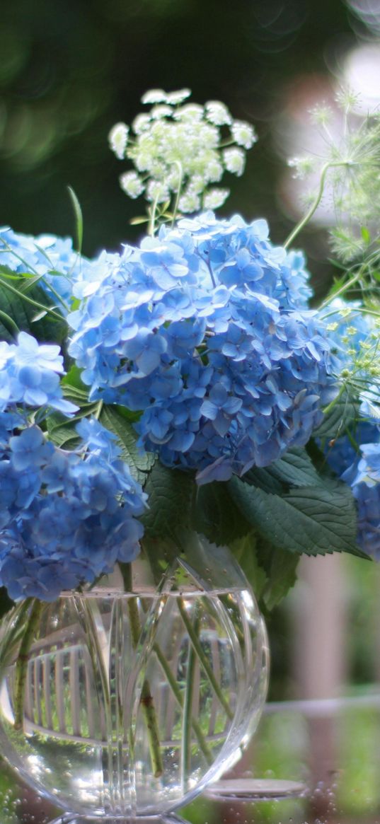 hydrangea, vase, bouquet, sharpness