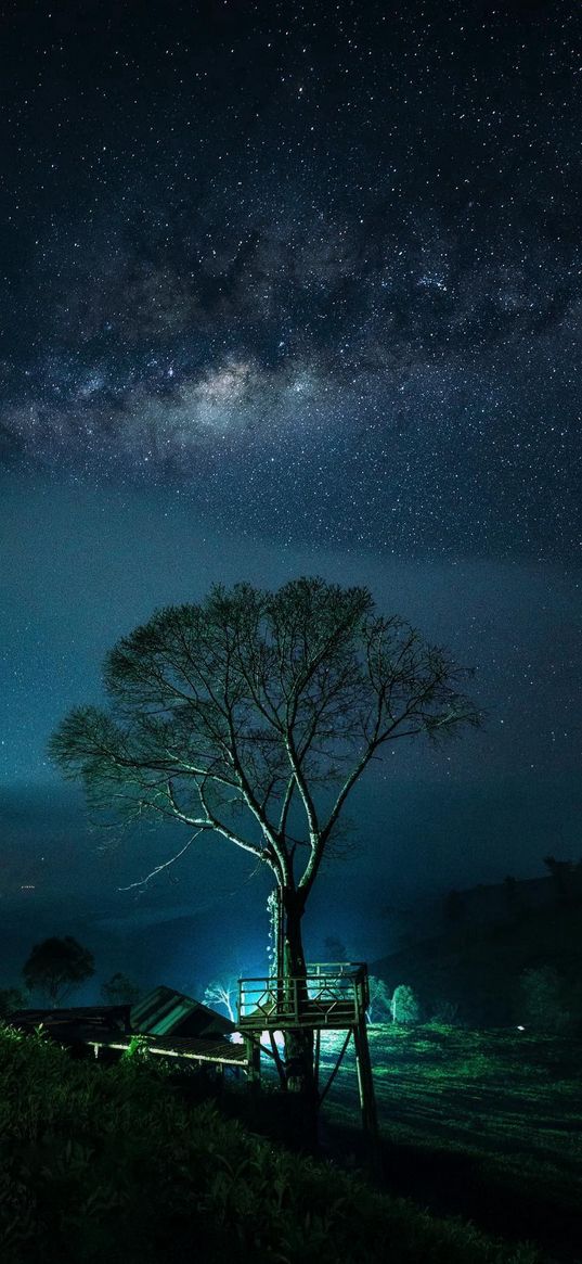 tree, staircase, house, hills, fog, milky way, starry sky, stars, night