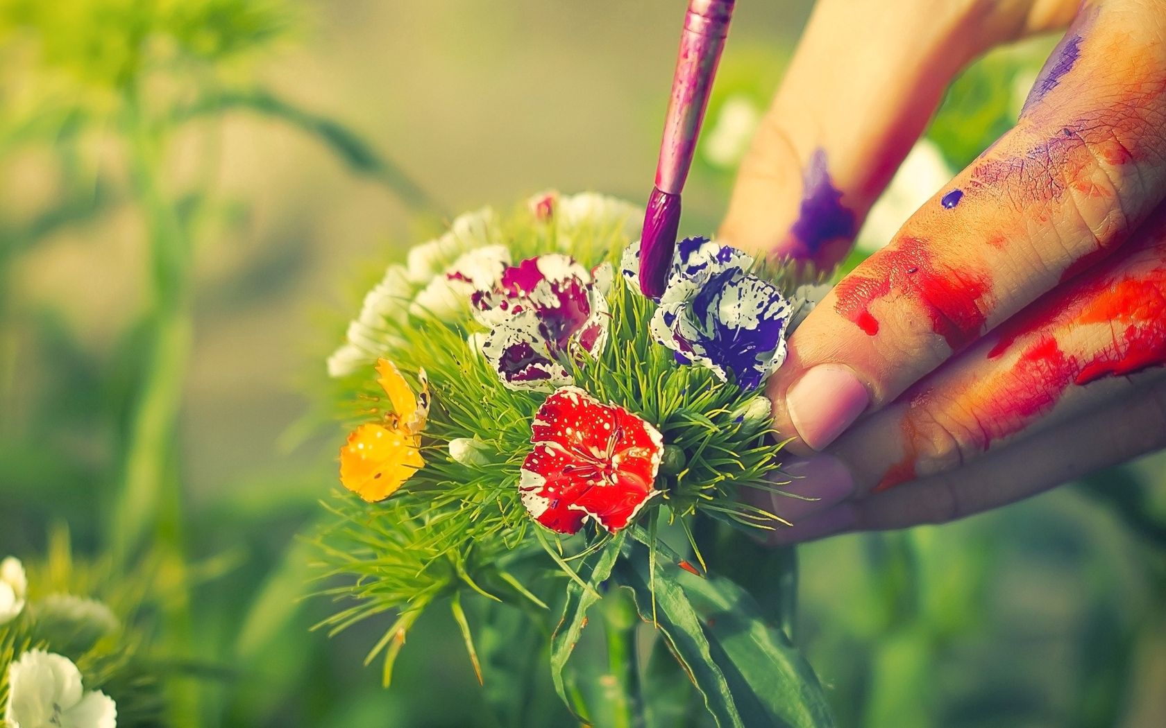 arm, flowers, paint, brush