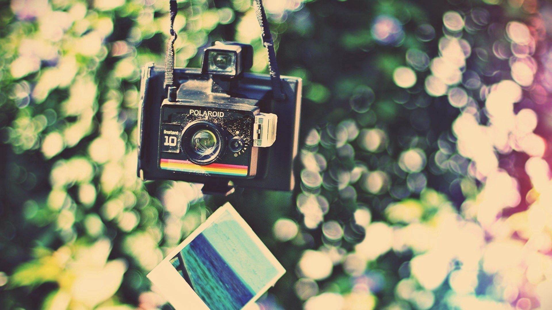 camera, polaroid camera, picture