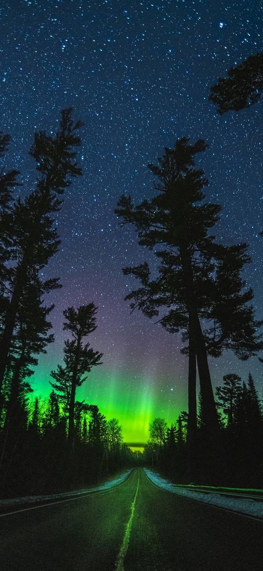 road, northern lights, trees, snow, night, winter, starry sky