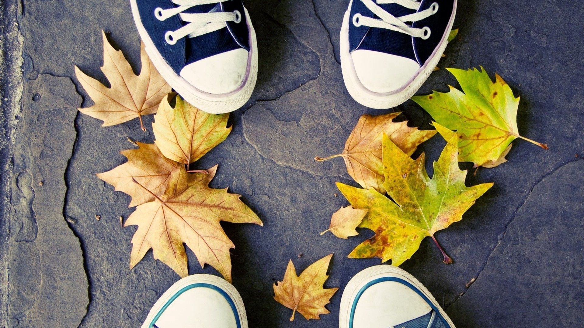 feet, sneakers, leaves, autumn